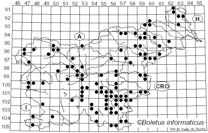 <i>Crepidotus mollis</i> (Schaeff.) Staude (1857)