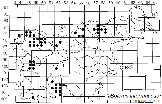 <i>Pseudevernia furfuracea</i> var. <i>furfuracea</i> (L.) Zopf (1903)