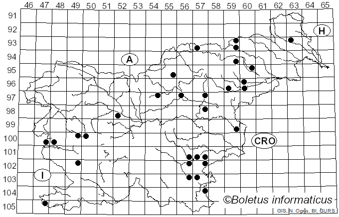 <i>Pluteus inquilinus</i> Romagn. (1979)