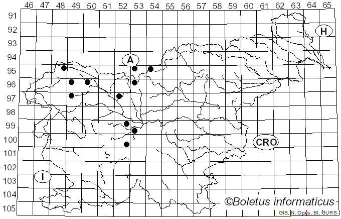 <i>Cheilosia vernalis</i> Fallen