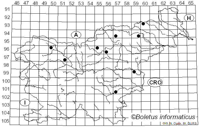 <i>Hygrophoropsis rufa</i> (D.A. Reid) Knudsen (2008)