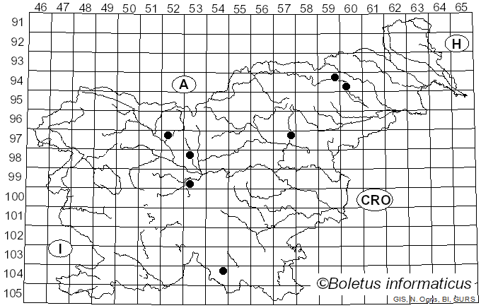 <i>Mallocybe agardhii</i> (N. Lund) Matheny & Esteve-Rav. (2019)