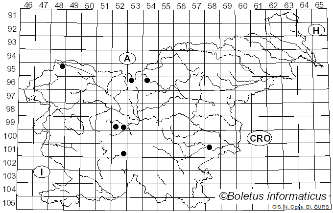 <i>Chrysogaster solstitialis</i> Fallen (1817)