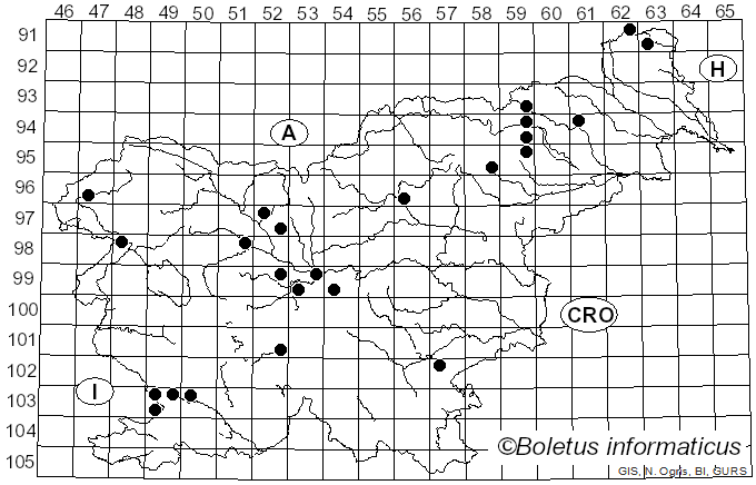 <i>Gloeoporus taxicola</i> (Pers.) Gilb. & Ryvarden (1985)