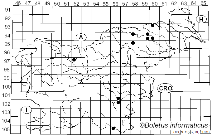 <i>Cortinarius ochroleucus</i> (Schaeff.) Fr. (1838)