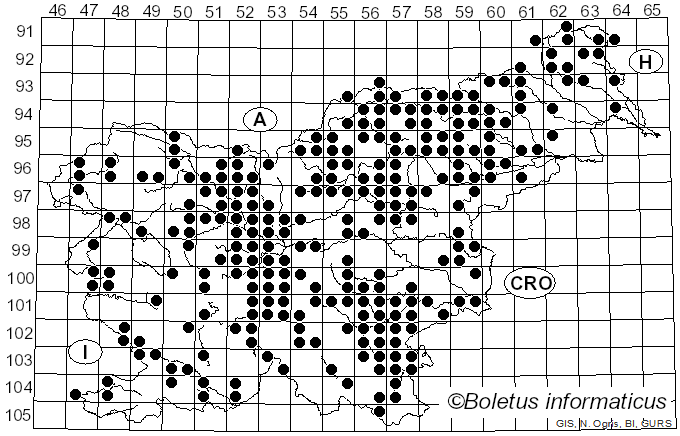 <i>Tapinella atrotomentosa</i> (Batsch) Šutara (1992)