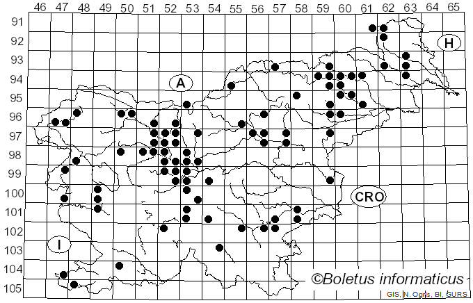 <i>Flammulina velutipes</i> (Curtis) Singer (1951)