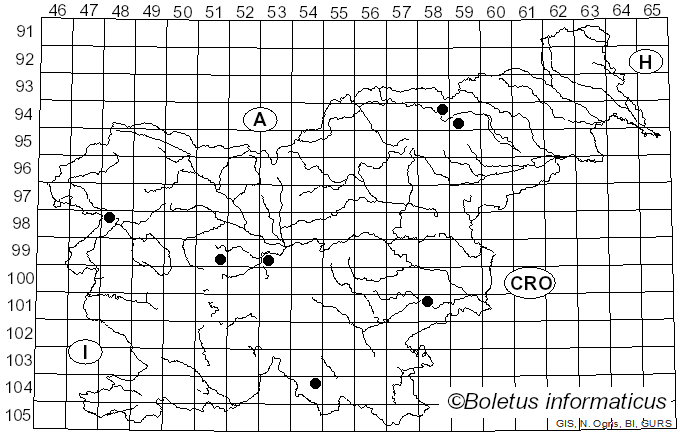 <i>Hydnoporia corrugata</i> (Fr.) K.H. Larss. & Spirin (2019)