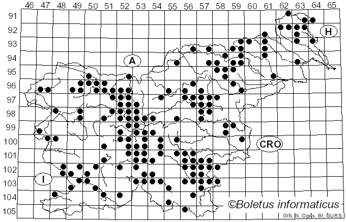 <i>Agaricus sylvaticus</i> Schaeff. (1774)