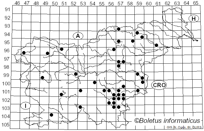 <i>Lactarius tabidus</i> Fr. (1838)