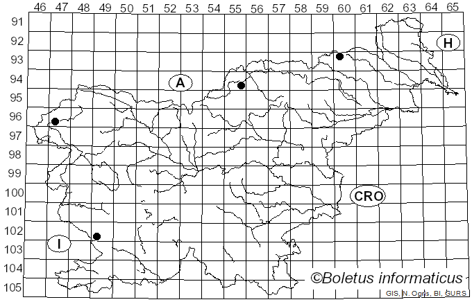 <i>Cortinarius caesiostramineus</i> Rob. Henry (1939)