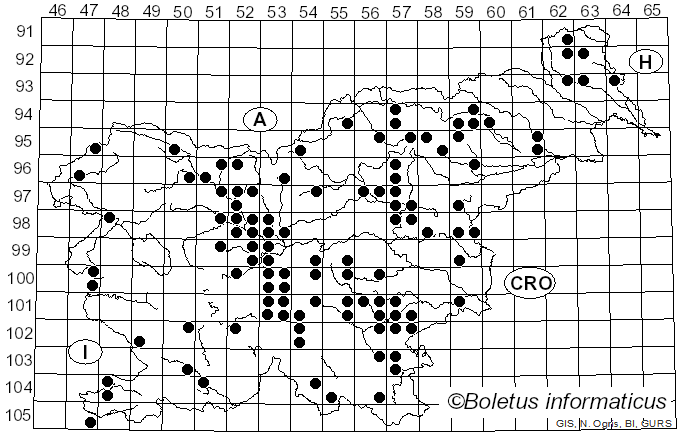 <i>Russula densifolia</i> Secr. ex Gillet (1874)