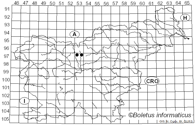 <i>Marssonia</i> J.C. Fisch. (1874)