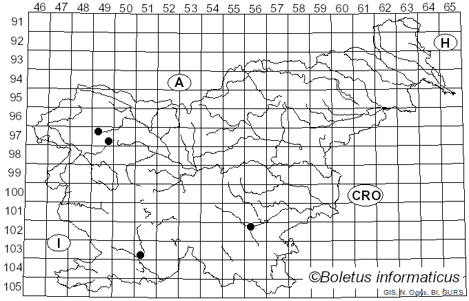 <i>Thecaphora</i> Fingerh. (1836)