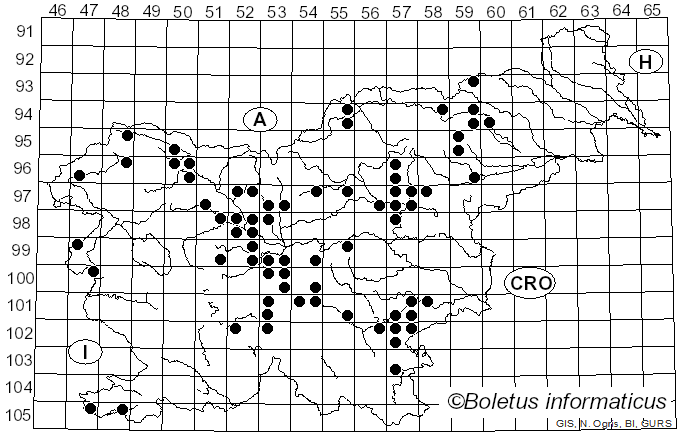 <i>Inosperma erubescens</i> (A. Blytt) Matheny & Esteve-Rav. (2019)