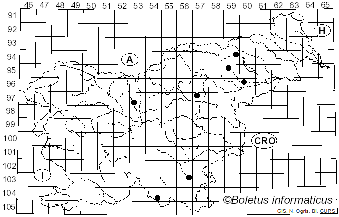 <i>Hydropus atramentosus</i> (Kalchbr.) Kotl. & Pouzar