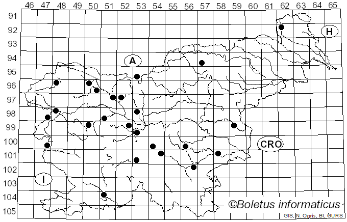 <i>Exidia recisa</i> (Ditmar) Fr. (1822)