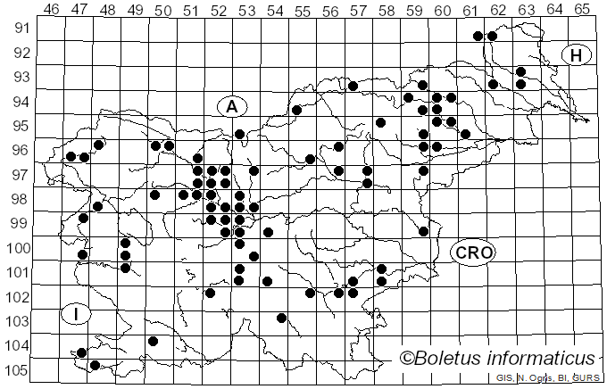 <i>Flammulina velutipes</i> (Curtis) Singer (1951)