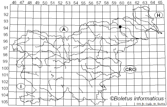 <i>Hypochnicium punctulatum</i> (Cooke) J. Erikss. (1958)