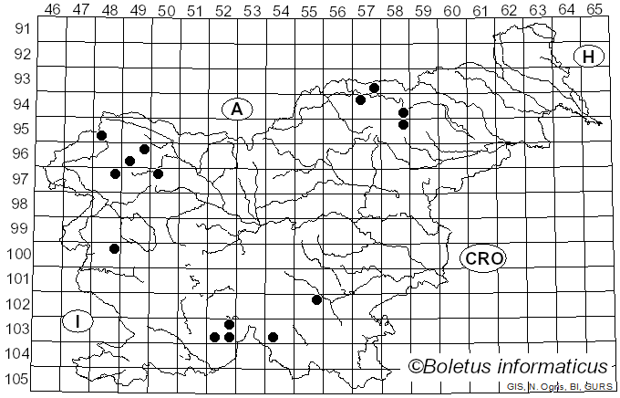 <i>Loxospora elatina</i> (Ach.) A. Massal. (1852)