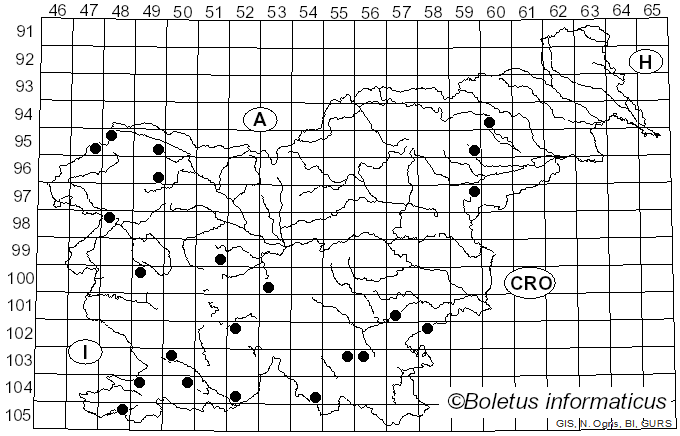 <i>Ceriporia</i> Donk (1933)