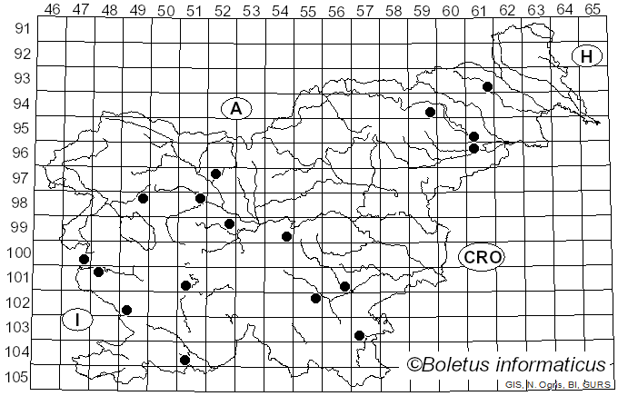 <i>Lactarius obscuratus</i> (Lasch) Fr. (1838)