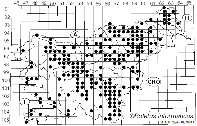<i>Russula grata</i> Britzelm. (1898)