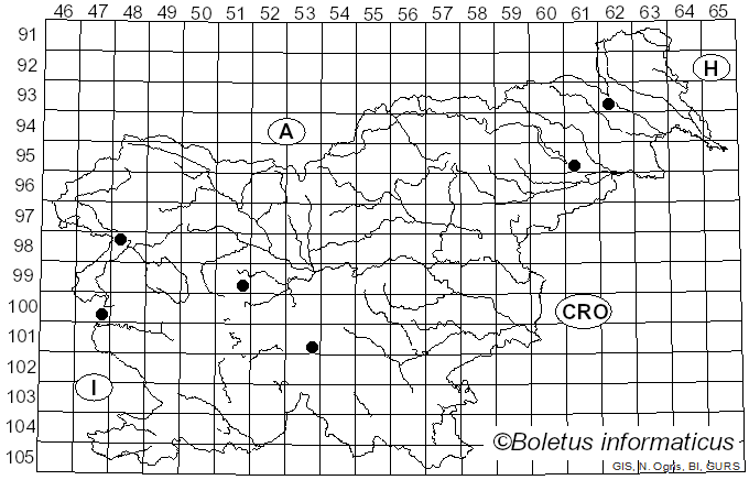 <i>Phellinus contiguus</i> (Pers.) Pat. (1928)