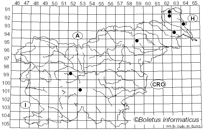 <i>Sillia ferruginea</i> (Pers.) P. Karst. (1873)