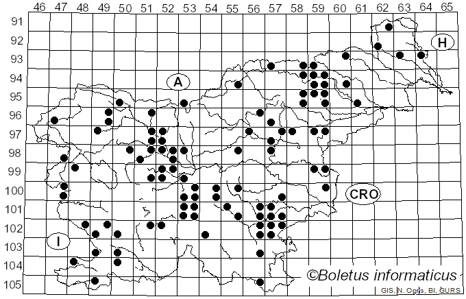 <i>Melanoleuca melaleuca</i> (Pers.) Murrill (1911)