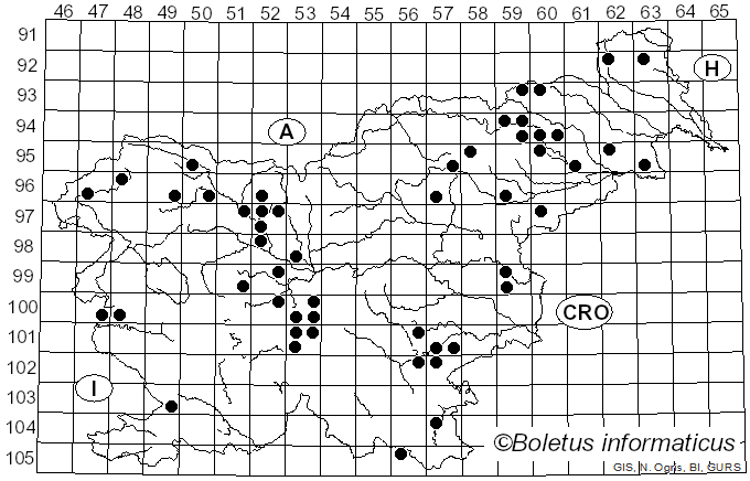 <i>Tubaria furfuracea</i> (Pers.) Gillet (1876)