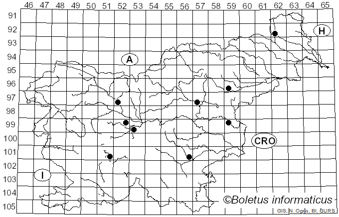 <i>Psathyrella maculata</i> (C.S. Parker) A.H. Sm. (1972)