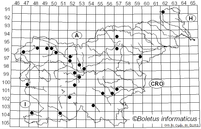 <i>Hypomyces lateritius</i> (Fr.) Tul. & C. Tul. (1860)