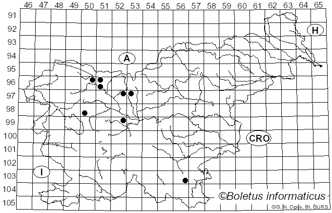 <i>Polystigma rubrum</i> subsp. <i>rubrum</i> (Pers.) DC. (1815)