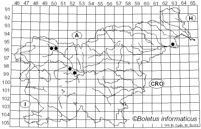 <i>Pucciniastrum areolatum</i> (Fr.) G.H. Otth (1863)