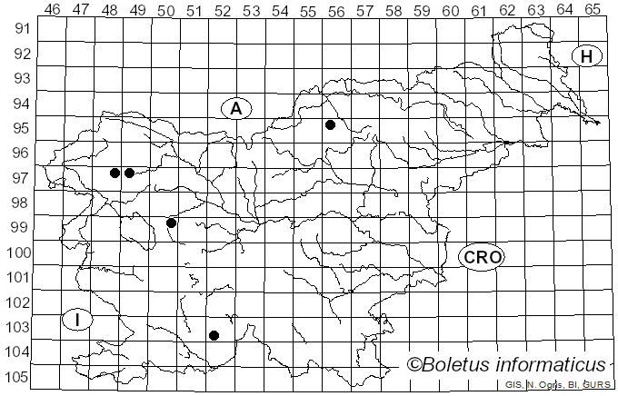 <i>Ramalina lacera</i> (With.) J.R. Laundon (1984)