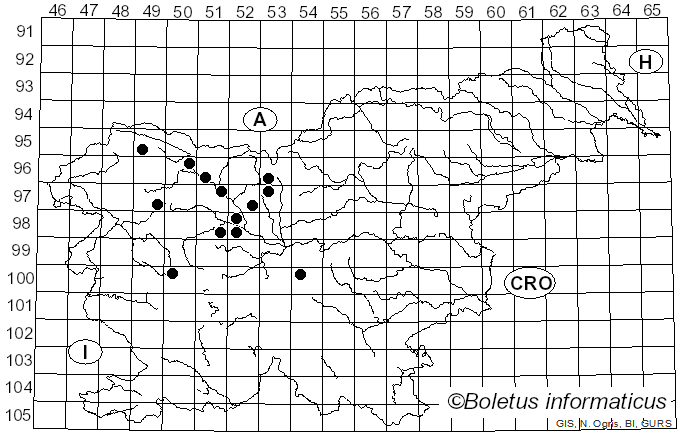 <i>Puccinia albulensis</i> Magnus (1890)