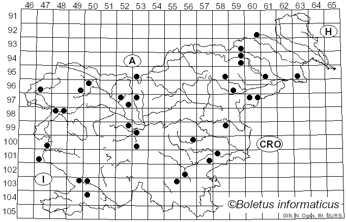 <i>Peniophora cinerea</i> (Pers.) Cooke (1879)