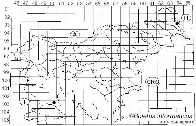 <i>Ceriporiopsis mucida</i> (Pers.) Gilb. & Ryvarden (1985)