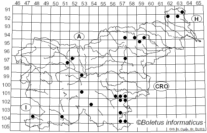 <i>Leccinum cyaneobasileucum</i> Lannoy & Estadès (1991)