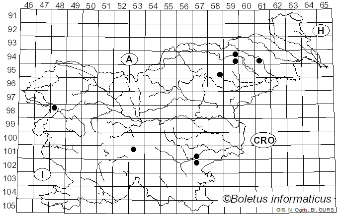 <i>Cortinarius macropus</i> (Fr.) Fr.