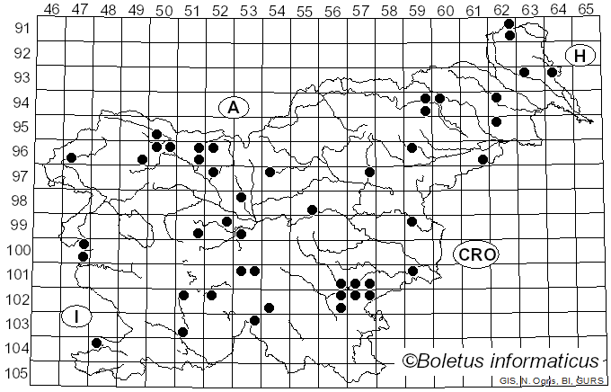 <i>Clitocybe fragrans</i> Sowerby (1821)