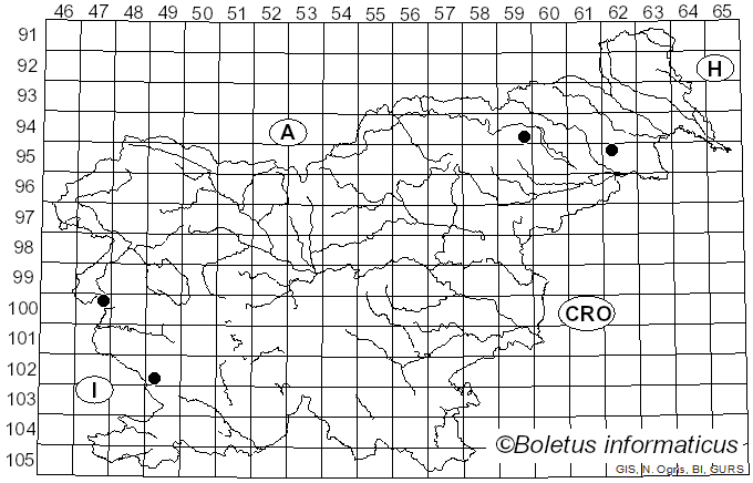 <i>Cortinarius subelegantior</i> Rob. Henry (1987)