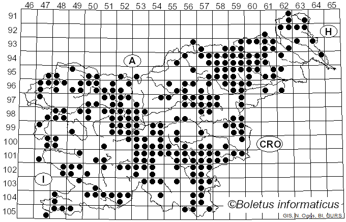 <i>Hebeloma</i> (Fr.) P. Kumm. (1871)