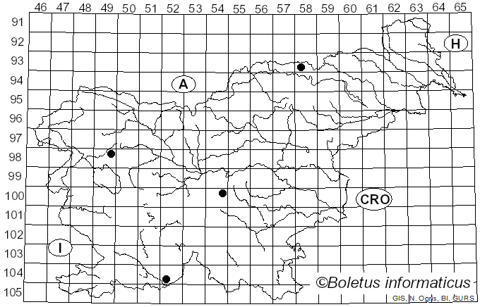 <i>Scutellinia nigrohirtula</i> (Svrček) Le Gal (1964)