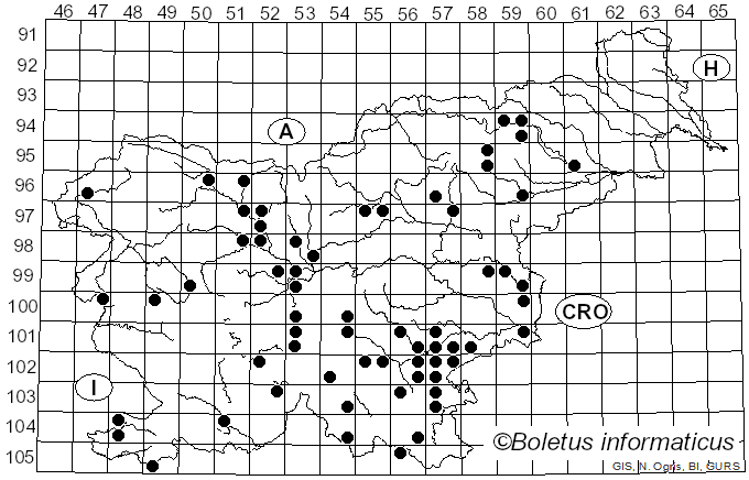 <i>Xerula pudens</i> (Pers.) Singer (1951)