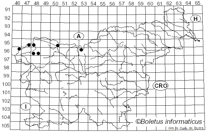 <i>Anthracoidea sempervirentis</i> Vánky (1979)