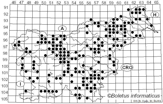 <i>Coprinellus micaceus</i> (Bull.) Vilgalys, Hopple & Jacq. Johnson (2001)