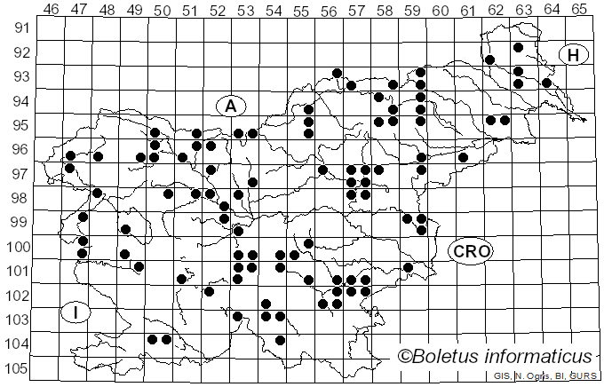 <i>Bolbitius titubans</i> (Bull.) Fr. (1838)