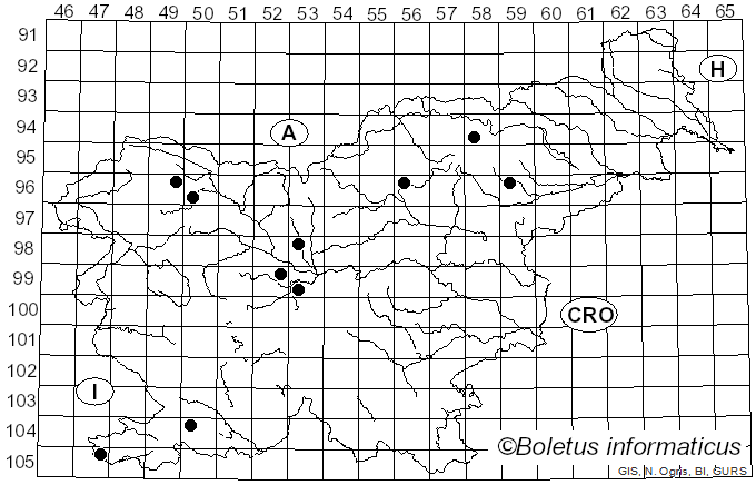 <i>Melastiza</i> Boud. (1885)